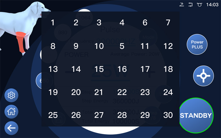 veterinary laser custom power